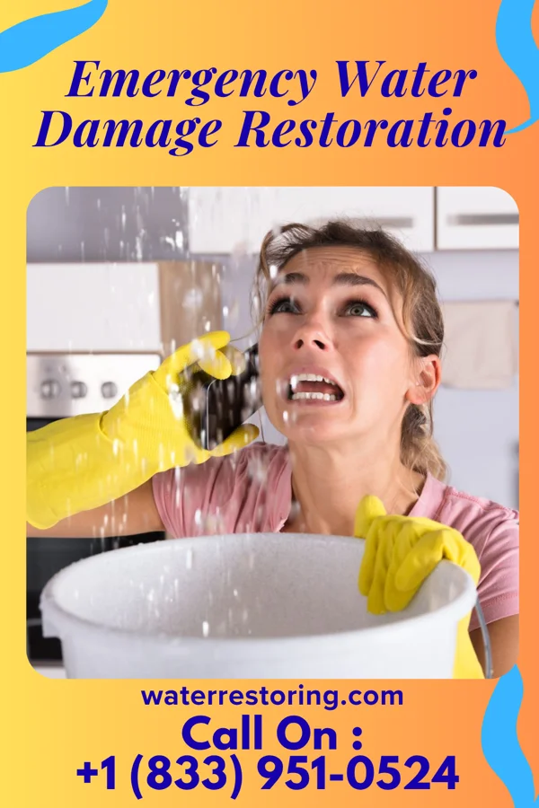 Emergency Water Damage Restoration in Leola, AR